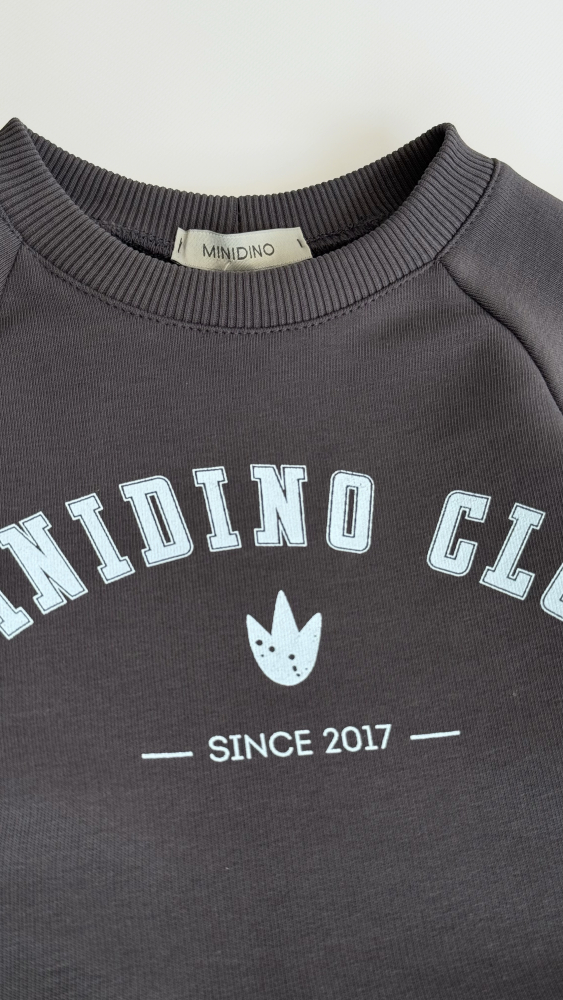Комплект детский CLUB графит